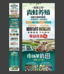 青蛙养殖