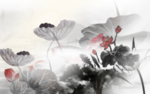 荷花图