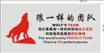 狼样团队