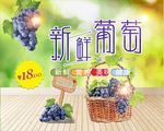 葡萄海报