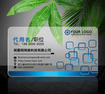 PVC透明商务名片