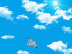 天空