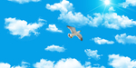 天空