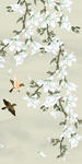 玉兰花玄关