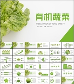 有机蔬菜PPT