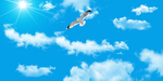 天空