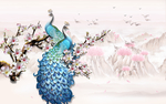 孔雀玉兰花背景