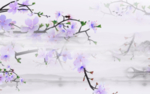 唯美