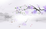 唯美