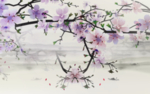 唯美