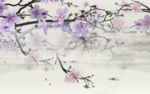 唯美