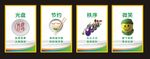 节约     光盘    微笑