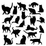 猫剪影猫插画