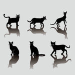 猫剪影猫插画