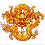 龙 金龙