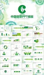 中国烟草局烟草公司PPT