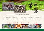松茸宣传单海报