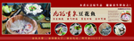 豆花鱼  喷泉鱼