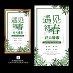 新品上市