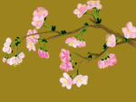 手绘春天樱花