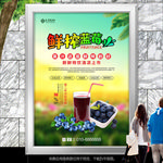 蓝莓汁灯箱展板展架海报宣传单页