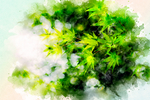 春天绿叶水彩画
