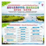 世界湿地日
