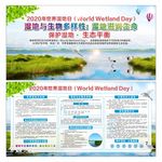世界湿地日