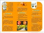 预防近视 保护视力 全国爱眼日