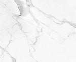 高雅奢华新鱼肚白 tif合层