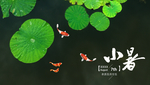 小暑海报模板