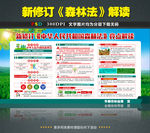 中华人民共和国森林法