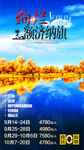 胡杨林