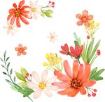 水彩花卉