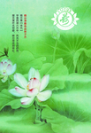 晓出净慈寺送林子方 荷花展板
