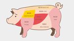 猪肉 超市猪肉图 分割猪肉