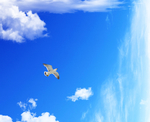 天空