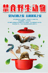 禁止捕杀食用野生动物宣传海报