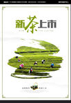 新茶上市