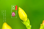 立春封面
