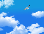蓝天
