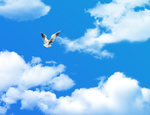 天空