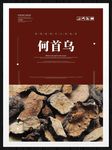 何首乌