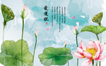 莲花