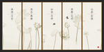 荷花工笔画