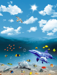 海底世界