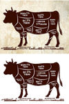 牛肉分割图