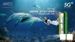 5G海报