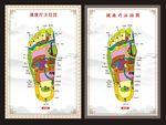 人体穴位图 足底穴位图