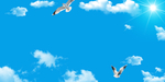 天空
